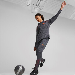 PUMA Manchester City FC Trainingshose Herren 16 - strong gray/aubergine XL