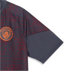 PUMA Manchester City FC Trainingsshirt Herren 16 - strong gray/aubergine S