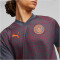 PUMA Manchester City FC Trainingsshirt Herren 16 - strong gray/aubergine S