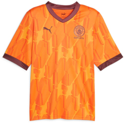 PUMA Manchester City FC Esports Trikot Herren 09 -...