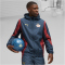 PUMA PSV Eindhoven Stadionjacke Herren 04 - dark night/team regal red XS