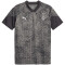 PUMA Borussia Mönchengladbach Trainingsshirt Herren 01 - flat medium gray/puma white S