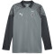 PUMA Borussia Mönchengladbach 1/4-Zip Trainings-Top Herren 01 - flat medium gray/puma white XL