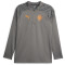 PUMA Valencia CF 1/4-Zip Trainings-Top Herren 13 - flat medium gray M