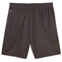 PUMA AC Milan Trainingsshorts Herren 16 - PUMA black/flat medium gray S