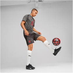 PUMA AC Milan Trainingsshirt Herren 15 - flat medium gray/for all time red M