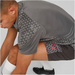 PUMA AC Milan Trainingsshirt Herren 15 - flat medium gray/for all time red M