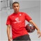 PUMA AC Milan Trainingsshirt Herren 12 - for all time red/feather gray S