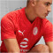 PUMA AC Milan Trainingsshirt Herren 12 - for all time red/feather gray M