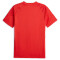 PUMA AC Milan Trainingsshirt Herren 12 - for all time red/feather gray M