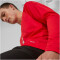 PUMA AC Milan 1/4-Zip Trainings-Top Herren 12 - for all time red/feather gray S