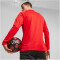 PUMA AC Milan 1/4-Zip Trainings-Top Herren 12 - for all time red/feather gray S