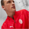 PUMA AC Milan 1/4-Zip Trainings-Top Herren 12 - for all time red/feather gray S
