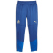 PUMA Olympique de Marseille Trainingshose Herren 20 - clyde royal/puma team royal/sun glitter S