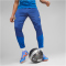 PUMA Olympique de Marseille Trainingshose Herren 20 - clyde royal/puma team royal/sun glitter S