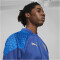PUMA Olympique de Marseille 1/4-Zip Trainings-Top Herren 20 - clyde royal/puma team royal/sun glitter S