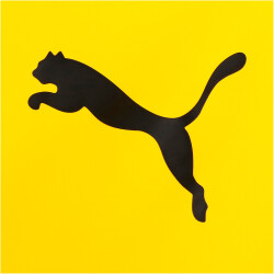 PUMA BVB Borussia Dortmund Training Allwetterjacke Herren 01 - cyber yellow/puma black S