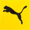 PUMA BVB Borussia Dortmund Training Allwetterjacke Herren 01 - cyber yellow/puma black S