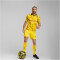 PUMA BVB Borussia Dortmund Ausweichtrikot 2023/24 Herren 03 - cyber yellow/puma black M