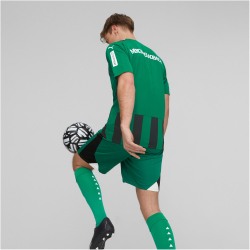PUMA Borussia M&ouml;nchengladbach Replica Ausw&auml;rtstrikot 2023/24 Herren 03 - power green/puma black S