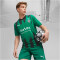 PUMA Borussia Mönchengladbach Replica Auswärtstrikot 2023/24 Herren 03 - power green/puma black M