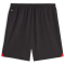 PUMA AC Milan Replica Shorts 2023/24 Herren 04 - PUMA black/for all time red S