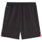PUMA AC Milan Replica Shorts 2023/24 Herren 04 - PUMA black/for all time red M