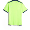 PUMA teamLIGA Trainingsshirt Herren 54 - pro green 3XL