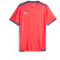 PUMA teamLIGA Trainingsshirt Herren 53 - fire orchid 3XL