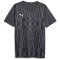 PUMA individualRISE Graphic Trikot Herren 03 - asphalt XL