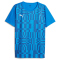 PUMA individualRISE Graphic Trikot Herren 02 - ignite blue/puma navy XL