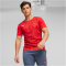 PUMA individualRISE Graphic Trikot Herren 01 - PUMA red/PUMA black S