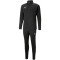 PUMA teamLIGA Trainingsanzug Herren 03 - puma black/puma white 3XL