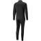 PUMA teamLIGA Trainingsanzug Herren 03 - puma black/puma white 3XL