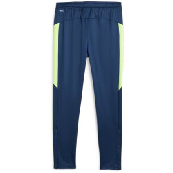 PUMA Individual Winterized Trainingshose Herren 01 - persian blue/eucalyptus M