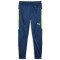 PUMA Individual Winterized Trainingshose Herren 01 - persian blue/eucalyptus M