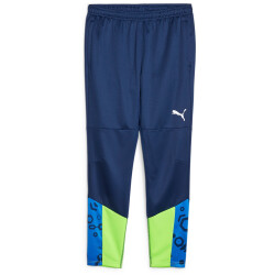 PUMA individualCUP Trainingshose Herren 54 - persian...