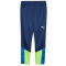 PUMA individualCUP Trainingshose Herren 54 - persian blue/pro green L