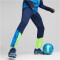 PUMA individualCUP Trainingshose Herren 54 - persian blue/pro green L