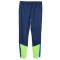 PUMA individualCUP Trainingshose Herren 54 - persian blue/pro green L