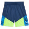 PUMA individualCUP Fußballshorts Herren 54 - persian blue/pro green XS