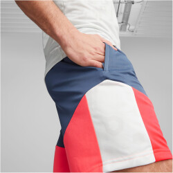 PUMA individualCUP Fußballshorts Herren 53 - puma...