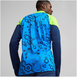 PUMA individualCUP 1/4-Zip Top Herren 54 - persian blue/pro green S