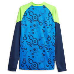 PUMA individualCUP 1/4-Zip Top Herren 54 - persian blue/pro green S