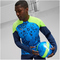 PUMA individualCUP 1/4-Zip Top Herren 54 - persian blue/pro green S