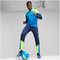 PUMA individualCUP 1/4-Zip Top Herren 54 - persian blue/pro green S