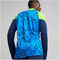 PUMA individualCUP 1/4-Zip Top Herren 54 - persian blue/pro green S