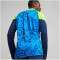 PUMA individualCUP 1/4-Zip Top Herren 54 - persian blue/pro green L