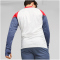 PUMA individualCUP 1/4-Zip Top Herren 53 - puma white/fire orchid S