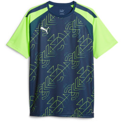 PUMA teamLIGA Graphic Trainingsshirt Herren 54 - persian...